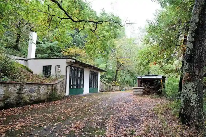 chalet la casetta del bosco esterno 2