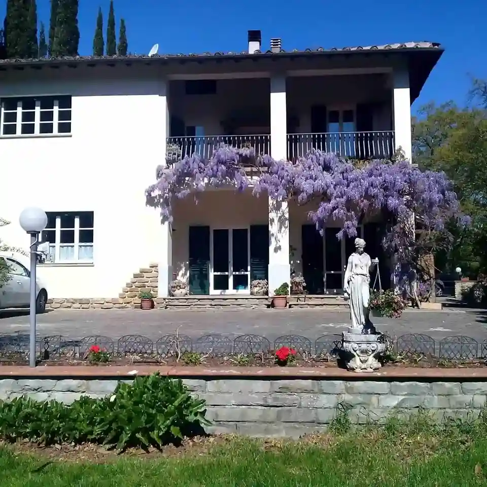 glicine fiorito in villa sargiano