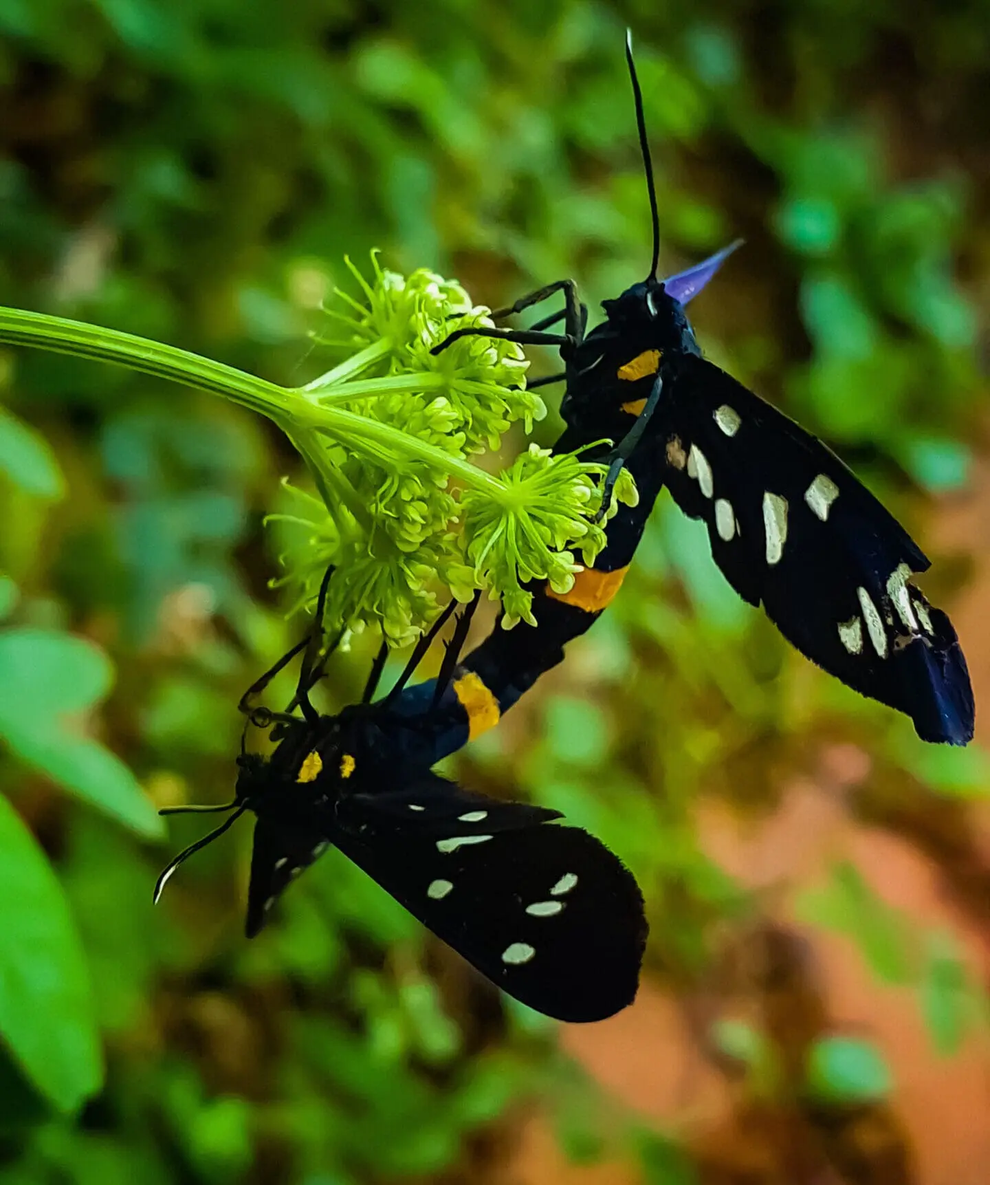 natura in villa sargiano