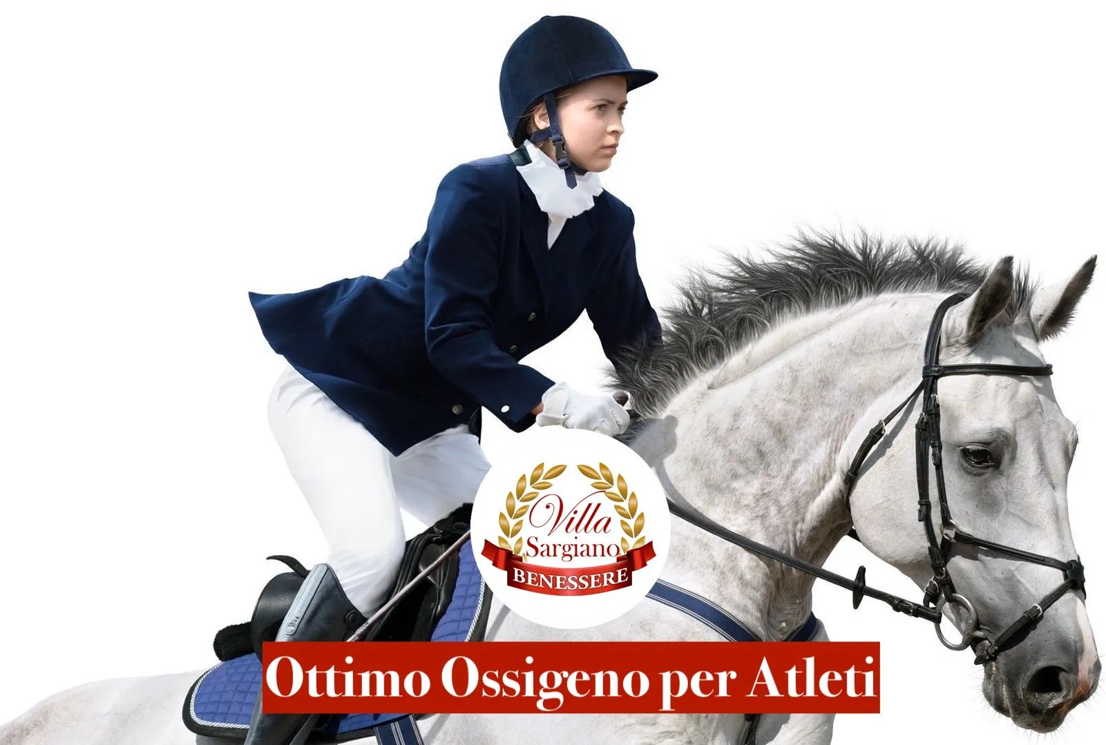 equestrian center - arezzo 