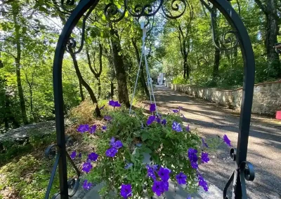 particolare pozzo villa sargiano fiore