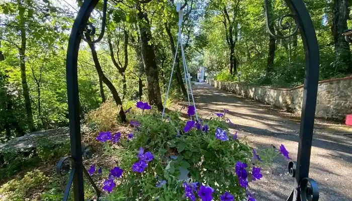 particolare pozzo villa sargiano fiore