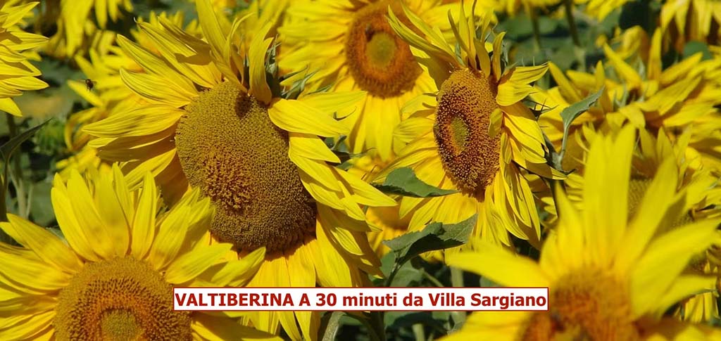 ebed60d4 da04 4c98 9993 0b09f360236e 1